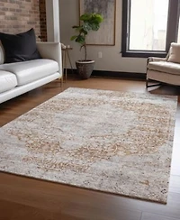 Addison Chantille Machine Washable Acn1144 Area Rug Collection