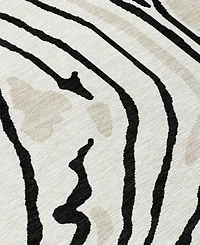 Addison Chantille Machine Washable ACN1051 3'x5' Area Rug
