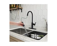 Casainc 1.8 Gpm Single-Handle Pull-Down Kitchen Faucet Single Hole Faucet