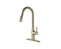 Casainc 1.8 Gpm Single-Handle Pull-Down Kitchen Faucet Single Hole with Deck Plate