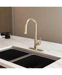 Casainc Single-Handle Pull-Down Kitchen Faucet Single Hole Faucet with Deck Plate