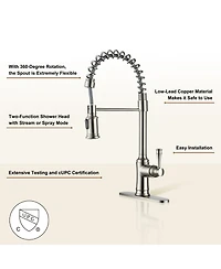 Casainc Single-Handle Spring Pull-Down Kitchen Faucet Single Hole 1.8 Gpm