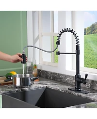 Casainc Single-Handle Spring Pull-Down Kitchen Faucet Single Hole Faucet 1.8 Gpm