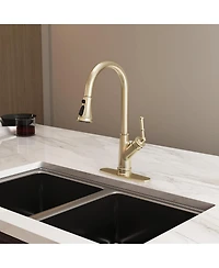 Casainc 1.8 Gpm Single-Handle Pull-Down Kitchen Faucet Single Hole