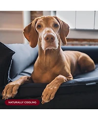 Night Mulberry Silk Dog Bed