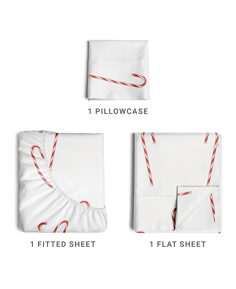 Christmas 4 Piece Microfiber Sheet Set (Twin / Reindeer 2)