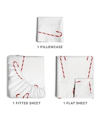 Christmas 4 Piece Microfiber Sheet Set (Twin / Reindeer 2)