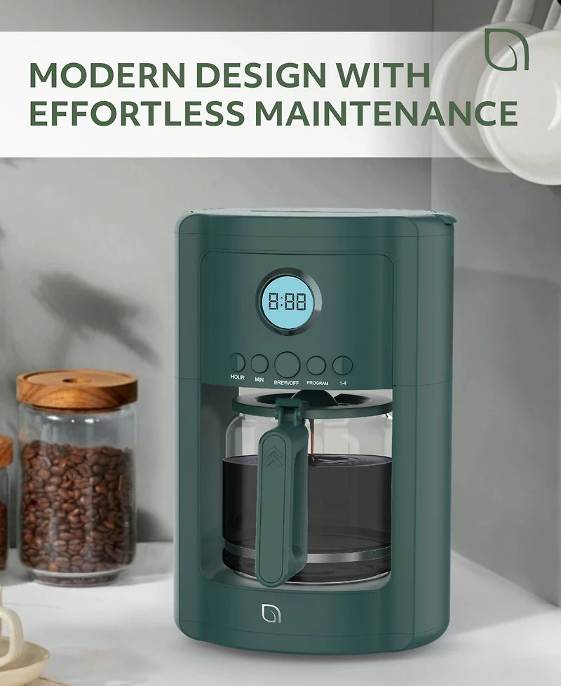 Willow Kitchen 12 Cup Coffee Maker – Programmable Brewing Options with Timer, Beautiful Design, Glass Pot