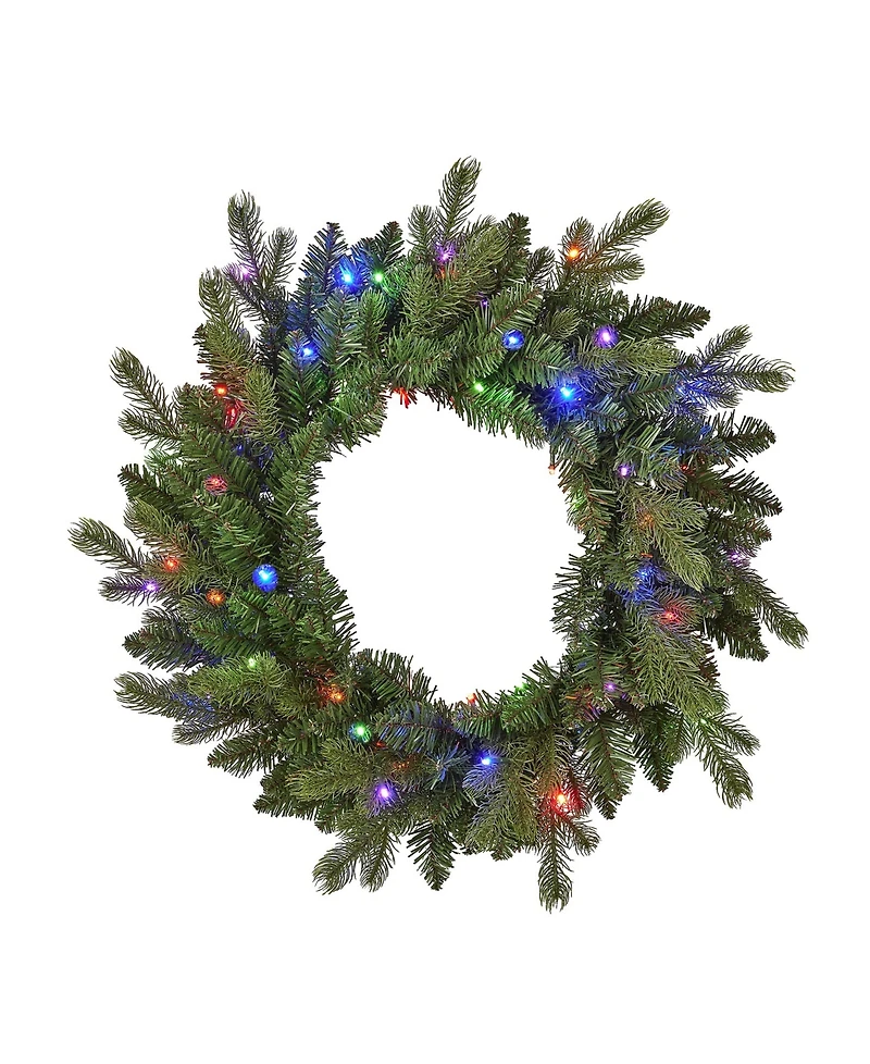 Seasonal 24" Palmetto Pine Wreath, 50 Dual Led Lights
