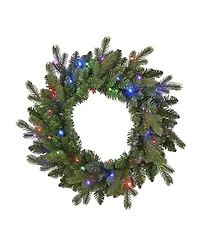Seasonal 24" Palmetto Pine Wreath, 50 Dual Led Lights