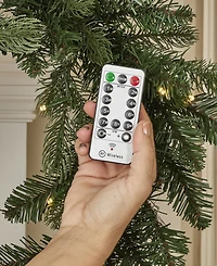 Seasonal 6ft Palmetto Pine Garland, 50 Dual Led Lights