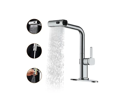 Casainc Single Handle Pull Out Kitchen Faucet