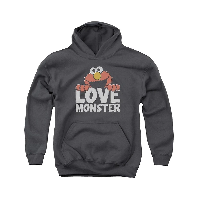 Sesame Street Youth Love Monster Pull Over Hoodie