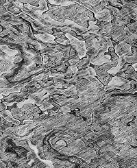 Addison Chantille Machine Washable ACN829 2'3"x7'6" Runner Area Rug