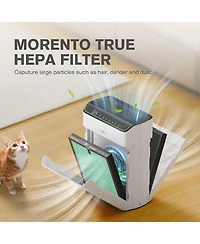 Morento Air Purifier Replacement Filter, True Hepa Filter Compatible with Morento5866, Pet Dander Version, 2 Pack