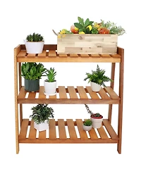 Outdoor Meranti Wood with Teak Oil Finish 3-Tiered Decorative Succulent Flower Plant Shelf Stand - 35" - Brown