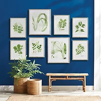 Tree Leaf Study, Set Of 6