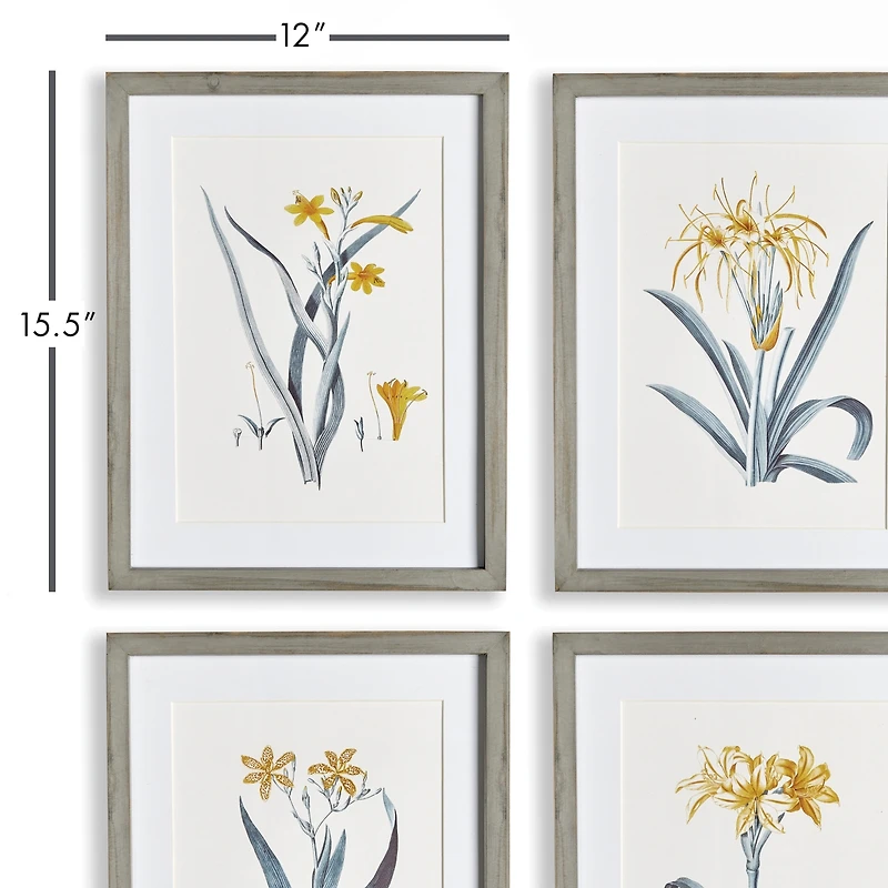 Daffodil Prints Set of 4