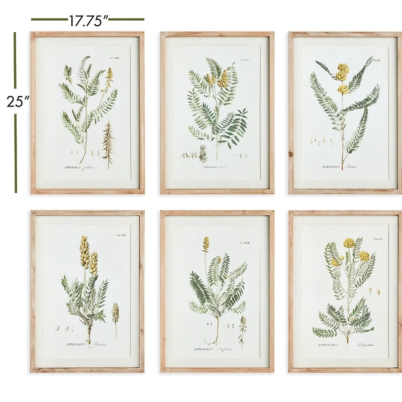 Mid-Summer Blooms Prints Set of 6