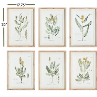 Mid-Summer Blooms Prints Set of 6