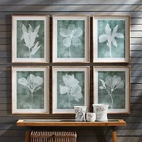 Napa Home & Garden Translucent Floral Prints Set of 6