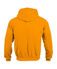 Champion Big Boys and Girls Gold Arizona State Sun Devils Campus Pullover Hoodie