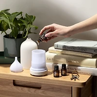 Organic Aromatherapy Set (Top 8 Essential Oils)