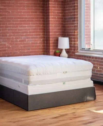 Cleanbrands Pro Zippered Box Spring Encasement