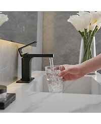 Single Hole Single-Handle Bathroom Faucet in Brushed Nickel