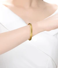Sterling Silver 14K Gold Plated Omega Bracelet-Unisex