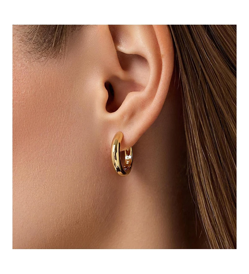 Ana Luisa Gold Hoop Earrings - Giulia Medium