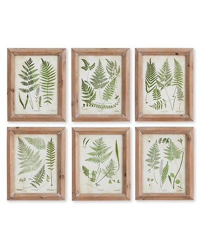 Assorted Frond Study Petite Set of 6