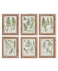 Assorted Frond Study Petite Set of 6