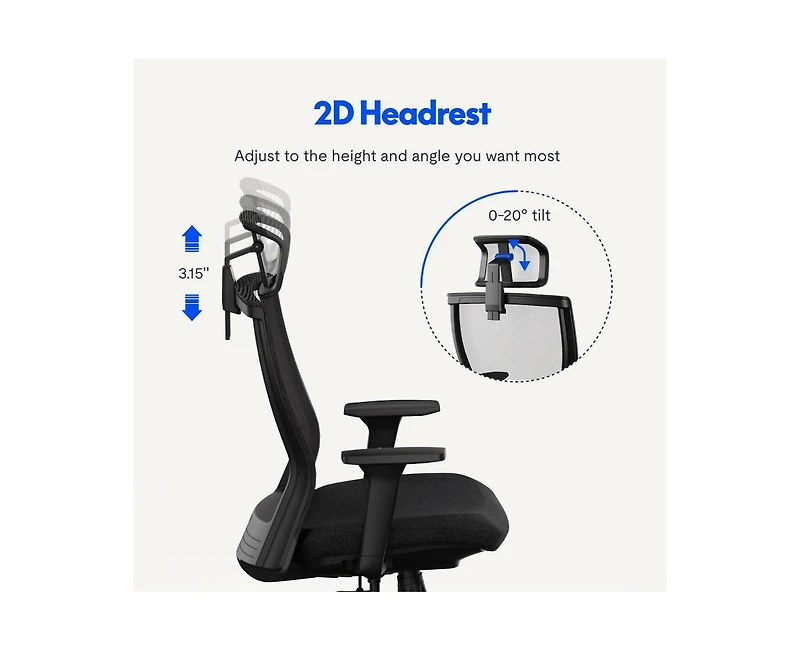 FlexiSpot C4B Ergonomic Mesh High-Back Office Chair, Black