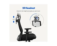 FlexiSpot C4B Ergonomic Mesh High-Back Office Chair, Black