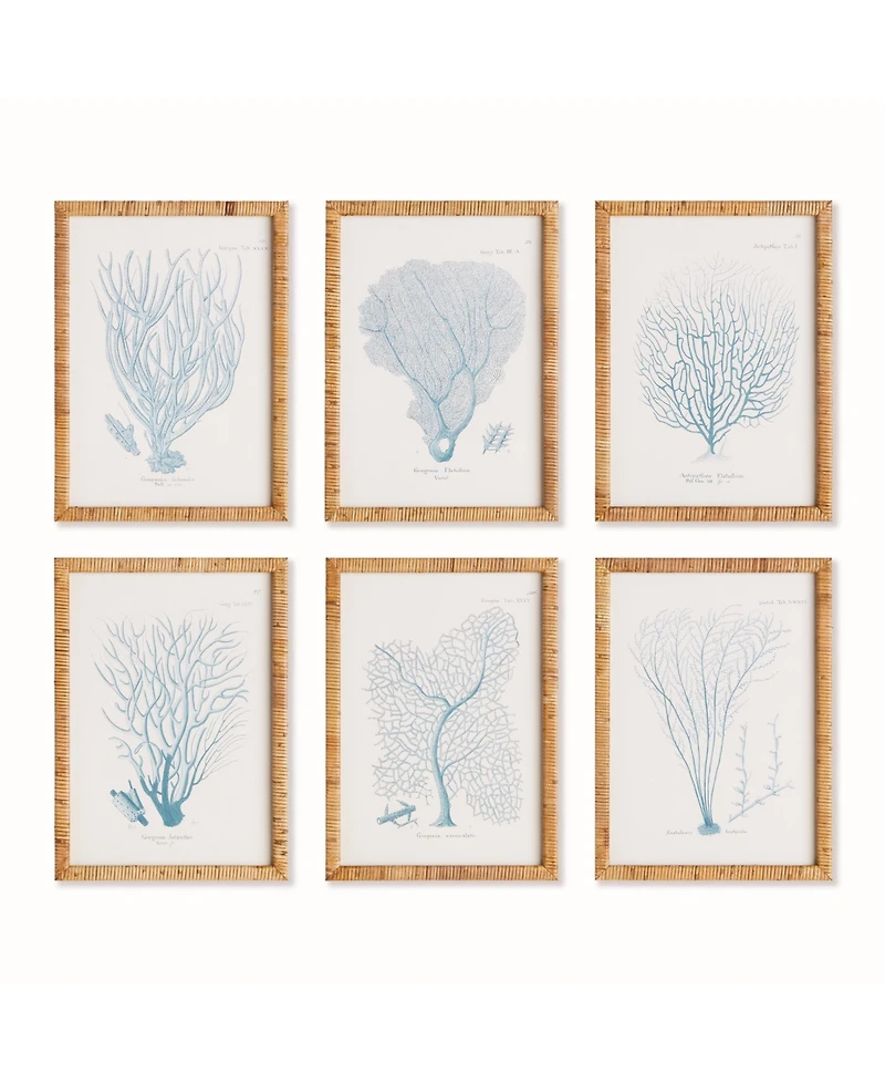 16"W x 1"D x 22"H Sea Fan And Coral Study In Blue Framed Wall Art Set of 6