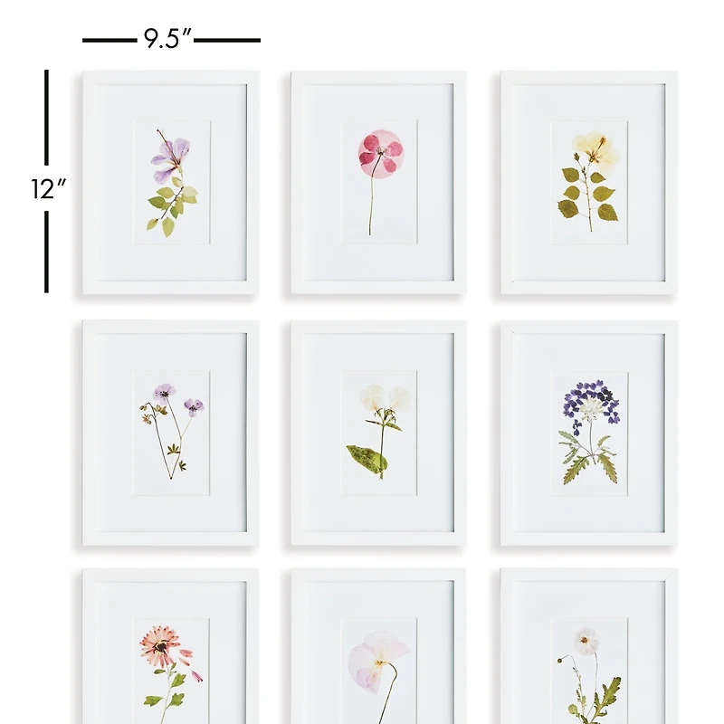 Mountain Flower Petite Prints St/9