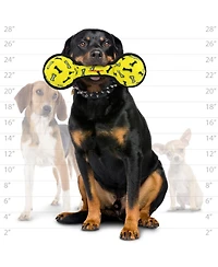 Tuffy Ultimate 2 Ball Tug Yellow Bone