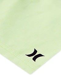 Hurley Little Boys H2O-dri Stripe Polo & Shorts Set