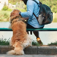 P.t. Supply Co. Feed N Sip 2-in-1 Collapsible Dog Bowl and Water Bottle, Portable Pet Feeding Solution for Travel