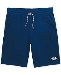 The North Face Big Boys Never Stop Shorts