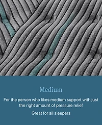 Beautyrest Level Two 14" Medium Tight Top Mattress