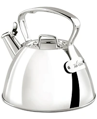 All-Clad Stainless Steel Tea Kettle