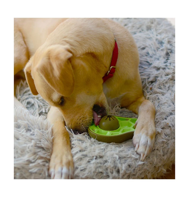 Hedgehog with tennis ball Dog Toy
