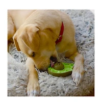 Hedgehog with tennis ball Dog Toy