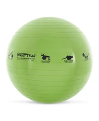 Prism Fitness 23" Smart Self-Guided Stability Exercise Ball w/13 Exercises Printed for Yoga, Pilates, Office Ball Chair and More, Green