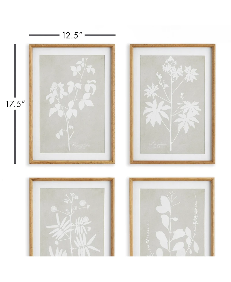 Foliage Study Set of 4