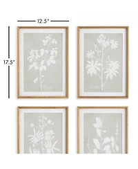 Foliage Study Set of 4