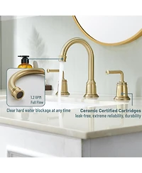 2-Handle Bathroom Sink Faucet with Drain Assembly lavatory Faucet with Pop Up Drain and cUPC Faucet Supply Hoses, Brushed Gold