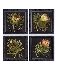 Protea Petite Prints Set of 4